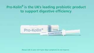 Protexin ProKolin  Digestive Health Drive [upl. by Faucher295]