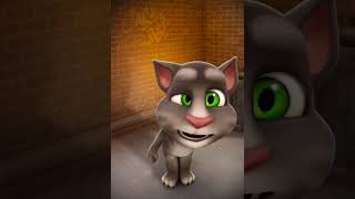 Talking Tom Cat  talkingtomcat [upl. by Vance102]