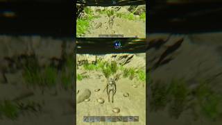 Best Silica Pearl Location Aberration ark arkofficialpvp arkaberration gameplay shorts [upl. by Enileuqcaj392]