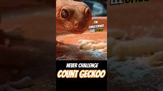 Never Challenge Count Geckoo Star Wars Parody funny lieutenantpancake starwars leopardgeckos [upl. by Ansev]