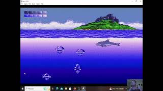 Ecco the Dolphin [upl. by Rehpetsirhc]