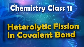 Heterolytic Fission in Covalent Bond  Basic Principle and Techniques in Organic ChemistryChemistry [upl. by Rolanda889]