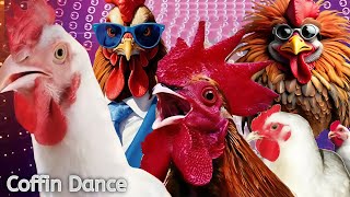 5 MIN SUPER FUNNY MEGAMIX CHICKENS amp ROOSTERS COFFIN DANCE SONG COVER ASTRONOMIA [upl. by Margarida]