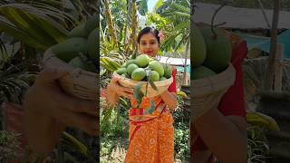 Raw Mango Bar amsotto cookingvideo shorts [upl. by Denver272]