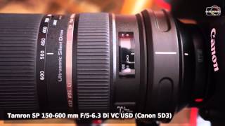 Tamron SP 150600 AF motor speed test 2 [upl. by Pasco]