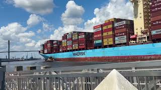 GJERTRUD MAERSK Container Ship Surprises Downtown Savannah [upl. by Alamat]