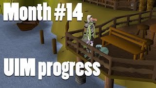 14 months of Ultimate lvl 3 Ironman progress  Navus [upl. by Anaidirib]