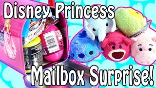 Disney Princess Mailbox Surprise  Tsum Tsum  Toy Story Hello Kitty Mashems Frozen Zelfs Sonic [upl. by Vashtia]