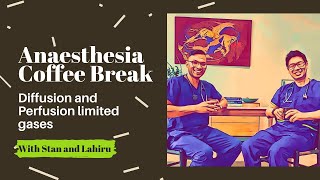 Episode 30 Diffusion perfusion limited gases  Anaesthesia Coffee Break Podcast [upl. by Asiralc709]