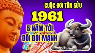 Bật mí trước tử vi Tân Sửu 1961 Thời cơ đổi đời rực rỡ giàu lên nhanh chóng trong 5 năm tới [upl. by Bunni330]