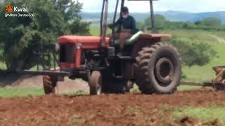 Massey Ferguson 85mwm e 290 cortando Terra [upl. by Anileba]