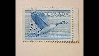 Canada postage stamps [upl. by Ahsakal952]