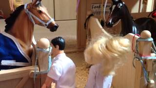 Breyer Horse Series quotLifequot Ep 1 [upl. by Nolrak]