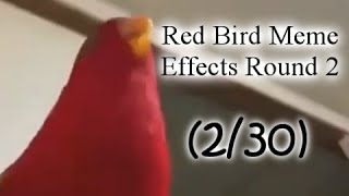 Red Bird Meme Effects Round 2 vs Everyone 230 [upl. by Aires975]