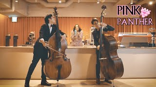 PINK PANTHER Theme Double Bass [upl. by Annoyik970]