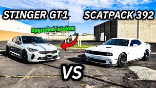 KIA STINGER GT1 CALLS OUT MY SCATPACK CHALLENGER 392 A MUST WATCH RACE [upl. by Nnaaras]