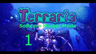 Softcore Master Mode Terraria Playthrough 1 quot110000 chance Witnessedquot [upl. by Aiuqat200]