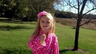 3 Year Old Little Girl Sings National Anthem [upl. by Rosmarin590]