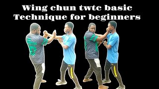 Wing chun twtc basic technique for beginners [upl. by Kienan39]