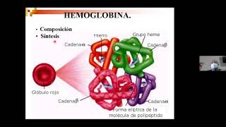 Anatomía Patológica  FCV  UNA Clase 8 Pigmentos endógenos [upl. by Ayanej]