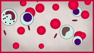 What is a hematopoietic stem cell Narrated by Dr Connie Eaves [upl. by Nylyahs]