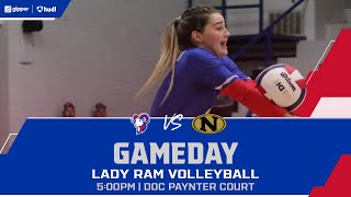 Volleyball vs Nettleton Raiders [upl. by Enirhtak351]