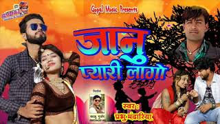 Rajsthani DJ Song 2019  जानु प्यारी लागो  Janu Pyari LagoDJ king प्रभु मन्दारिया [upl. by Neelak]