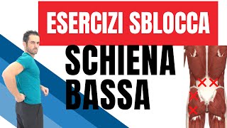 Dolore SCHIENA BASSA sblocco immediato con questi 2 esercizi [upl. by Magdau]