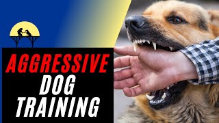 Most Complete Aggressive Dog Training Tutorial using Positive Reinforcement [upl. by Notslar55]