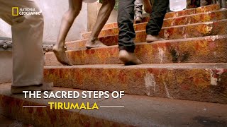 A Sacred Journey to Lord Venkateswara  Inside Tirumala Tirupati  हिंदी  S1  E1  Nat Geo [upl. by Cornell]