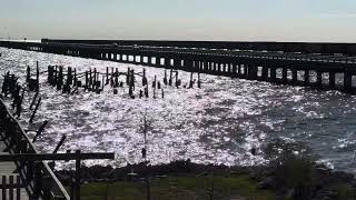 Longest Rail Bridge Over Water in the World  Norfolk Southern 346 at Lake Pontchartrain 01282023 [upl. by Attenod]