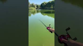 Best fishing rod and fishing baits youtubeshorts [upl. by Telrats24]