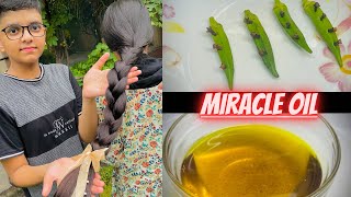 How To Make Okra Oil To Grow Your Hair Faster amp Stronger  Punch cloves in ladyfingers to see magic [upl. by Farrow]