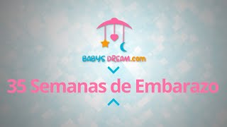 ❤️ Semana 35 de embarazo 🤰 Síntomas consejos y desarrollo del bebé  El embarazo semana a semana [upl. by Rexanna926]