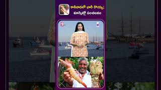 కాకినాడలో భారీ రొయ్య మార్కెట్లో సంచలనం  Fishery News Telugu [upl. by Nodyroc]