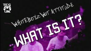 WhiteBoyz Wit Attitude  What is it  WhiteBoyz wit attitude review  No seriously wtf is this [upl. by Alakim]