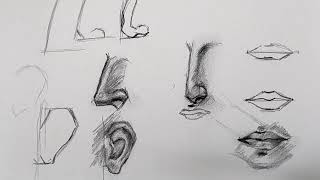 How to Draw l nose lips drawing sheding outlinedrawing [upl. by Arhna]