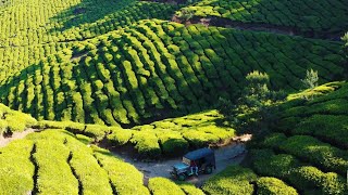 Kolukkumalai Tea Estates  Drone view Kerala  TelugumotoVlogs  Srimansunny [upl. by Tipton]