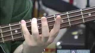 How to Play the Bass Guitar  Spider Walk Technique for Bass Guitar [upl. by Salisbury]