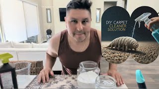 DIY CARPET CLEANER SOLUTIONHOMEMADE DISINFECTANT [upl. by Htessil]