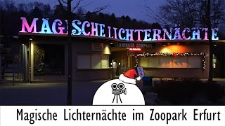 Magische Lichternächte im Erfurter Zoopark  ein Erlebnis für jung und alt  BRINKISReisen [upl. by Nudd]