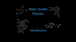 Water Soluble Vitamins Introduction [upl. by Adnaloj]