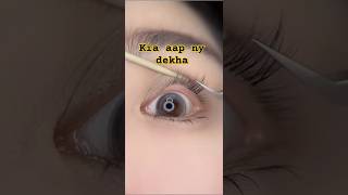 Kia Aap Ko Bhi Aisi Lashes Chahye shorts bestmakeuptransformations2024beautytipsforeverygirls [upl. by Pleione]