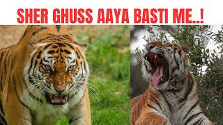 Sher Bhi Jungle Se Hogaye Hain Pareshaan Isliye Wo Abbreakingnews new news hindi song [upl. by Sone689]