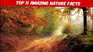 Top 11 Amazing Facts about Nature that will Surprise You [upl. by Ahtrim]