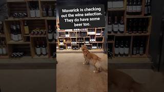 Maverick reviews Uncorked Chetek MaverickApproved SixLakesRealty MaverickRealtor UncorkedChetek [upl. by Marybelle705]