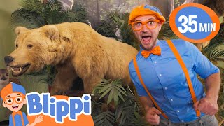 Blippi Learns About Animals  BEST OF BLIPPI TOYS  Educational Videos for Kids [upl. by Diskson]