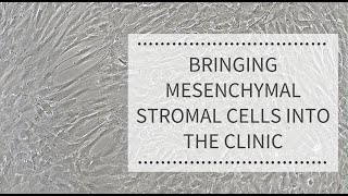 Bringing Mesenchymal Stromal Cells into the Clinic REPROCELL [upl. by Nahgaem]