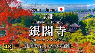 Autumn Leaves at Ginkakuji Temple in Kyoto Japan  World Heritage Site 4K [upl. by Nylevol]