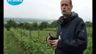 Comment et ou planter un vignoble sol et relief [upl. by Desberg]